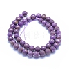 Natural Lepidolite/Purple Mica Stone Beads Strands G-L552H-09D-3