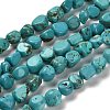 Natural Turquoise Beads Strands X-G-P497-01E-91-1