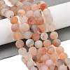 Natural Red Agate Beads Strands G-A248-A03-01-1
