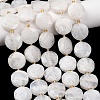 Natural Rainbow Moonstone Beads Strands G-L654-N05-01-1