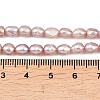Natural Cultured Freshwater Pearl Beads Strands PEAR-F020-26C-5