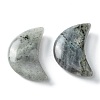 Natural Labradorite Beads G-I312-A05-2