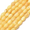 Dyed Natural Freshwater Shell Beads Strands SH-CBA2978-06B-1