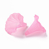Transparent Acrylic Beads BSF796-C10-3