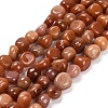 Natural Red Aventurine Beads Strands G-P568-C12-01-2