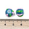 Handmade Lampwork Enamel Beads LAMP-R004-05H-4