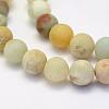 Natural Flower Amazonite Beads Strands G-G697-F05-10mm-3