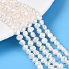 Natural Cultured Freshwater Pearl Beads Strands PEAR-T006-18D-1