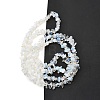 Opalite Beads Strands G-P332-11-4