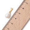 Shell Pearl Pendants PALLOY-JF05370-4