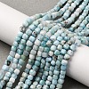 Natural Larimar Beads Strands G-F803-C01-03-1