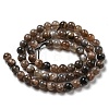 Natural Black Moonstone Beads Strands G-A219-A01-02-4