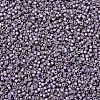 MIYUKI Delica Beads SEED-MY11-DB1065-3