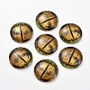 Glass Cabochons GLAA-WH0015-22D-06-2