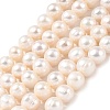 Natural Cultured Freshwater Pearl Beads Strands PEAR-I007-07U-04B-2