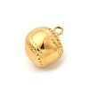 304 Stainless Steel Pendants STAS-P411-02F-G-2