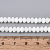 Natural Freshwater Shell Beads Strands SHEL-N038-30-4
