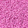 Baking Paint Glass Seed Beads SEED-P006-03A-03-3