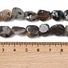 Natural Moonstone Beads Strands G-A284-A01-02-5