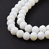 Electroplate Opaque Solid Color Glass Beads Strands LS-EGLA-A044-P1mm-L01-4