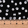 Glass Seed Beads SEED-T007-10D-7