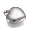 304 Stainless Steel Charms STAS-I166-13B-2