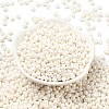6/0 Glass Seed Beads SEED-L011-08A-07-2