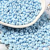 Baking Paint Glass Seed Beads X1-SEED-B001-02A-08-1