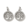 Brass Micro Pave Cubic Zirconia Pendents X-KK-R210-21P-01-1