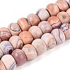 Dyed Natural Agate Beads Strands G-T144-26C-4