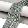 Natural Apatite Beads Strands G-B107-C01-01-1