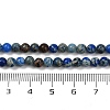 Dyed Natural Regalite/Imperial Jasper/Sea Sediment Jasper Beads Strands G-B124-C04-02-3