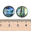 Natural Paua Shell Cabochons SSHEL-I026-20B-3