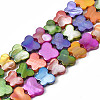 Dyed Natural Freshwater Shell Beads Strands SHEL-S276-167-1
