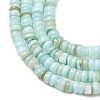 Dyed Natural Freshwater Shell Beads Strands SH-CBA2978-05C-2