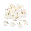 Natural Agate Shell Shaped Pendants G-U025-06G-1