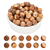 Natural Gemstone Beads Strands G-AR0003-80-1