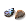 Natural Paua Shell Beads SSHEL-F305-02A-2