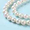Natural Cultured Freshwater Pearl Beads Strands PEAR-E018-40-4