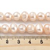 Natural Cultured Freshwater Pearl Beads Strands PEAR-C003-16A-X-5
