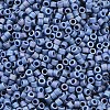 MIYUKI Delica Beads X-SEED-J020-DB2317-2