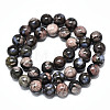 Natural Llanite Beads Strands G-R485-12-10mm-2