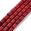 Synthetic Turquoise Beads Strands TURQ-G120-4x6mm-07-1
