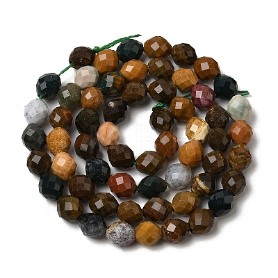 Natural Ocean Jasper Beads Strands G-K376-F17-01-1