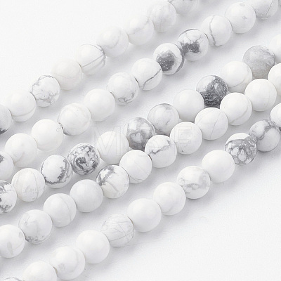 Natural Howlite Bead Strands G-G735-66-4mm-1