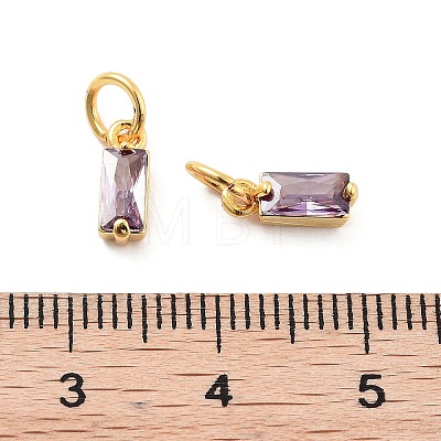 Brass Micro Pave Cubic Zirconia Charms ZIRC-F111-03G-12-1