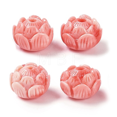 Synthetic Shell Dyed Carved Beads SHEL-H005-20-1