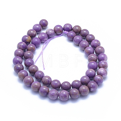 Natural Lepidolite/Purple Mica Stone Beads Strands G-L552H-09D-1