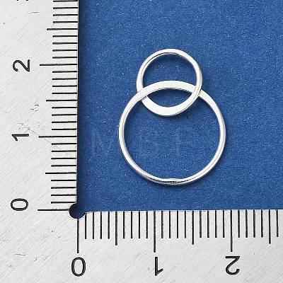 925 Sterling Silver Pendants STER-NH0018-02A-S-1