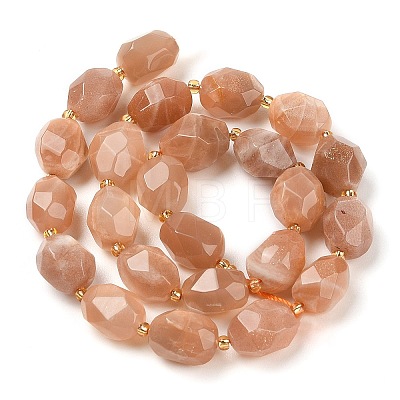 Natural Sunstone Beads Strands G-P541-A01-07-1